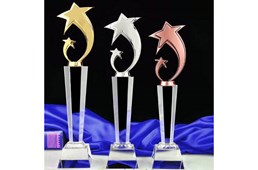 Cúp Pha Lê Làm Tại Gò Vấp