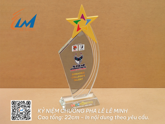 Những mẫu kỷ niệm chương giá từ 240k - 355k